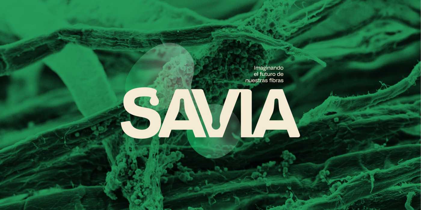 SAVIA: El programa de innovación global que quiere cambiar la industria del packaging